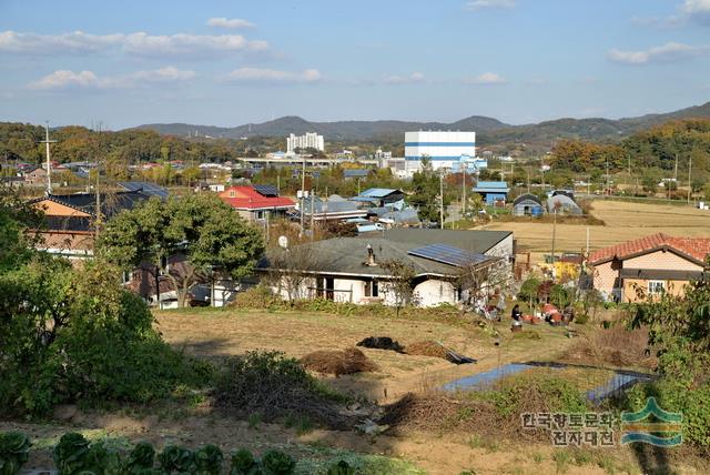디지털세종시문화대전